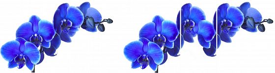 Стол "Соло" раздвижной - Синие цветы (167744783)