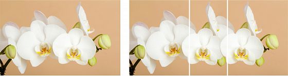 Стол "Грация 2" (1,55) раздвижной (опоры массив) - Белая орхидея (К-29)