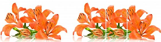 Стол "Ника" Стекло матовое (опоры круглые хром) - Оранжевая лилия (К-1)